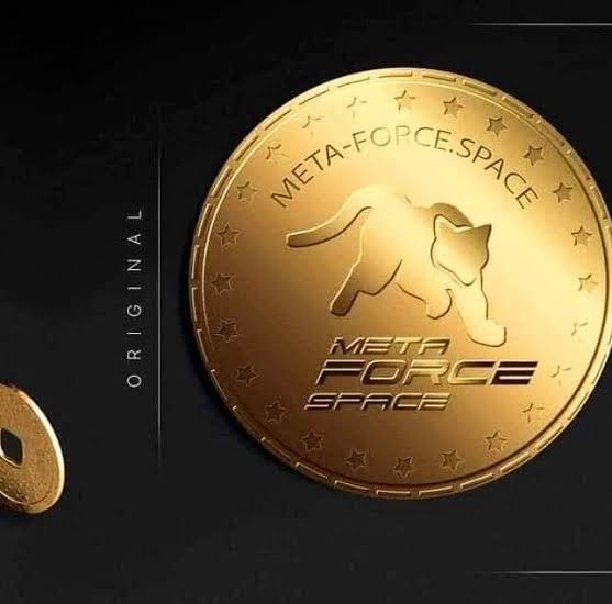 Meta Force Coin: Force Coin In Details