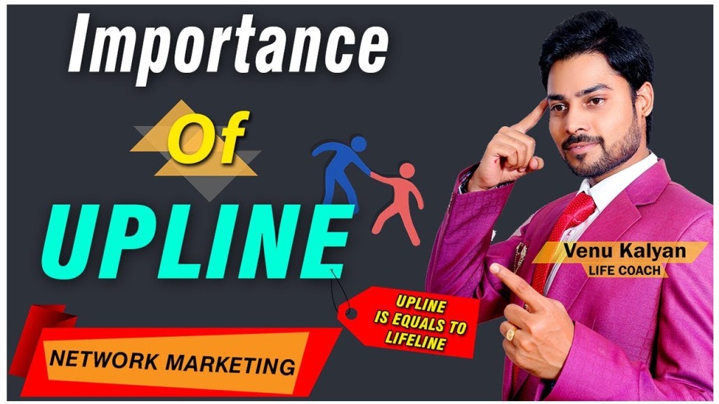 The Role of an Upline in Network Marketing: Building Success with Meta Force Business